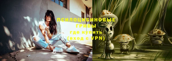 сатива Алзамай