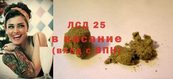 сатива Алзамай
