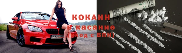 кокс Алексин